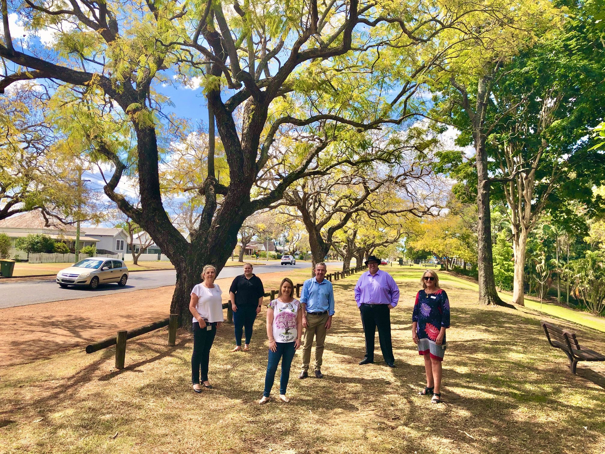 Iconic Jacaranda Festival set for an important boost Kevin Hogan MP